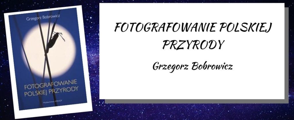 fotografowanie polskiej przyrody