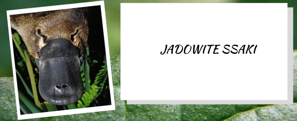 Jadowite ssaki