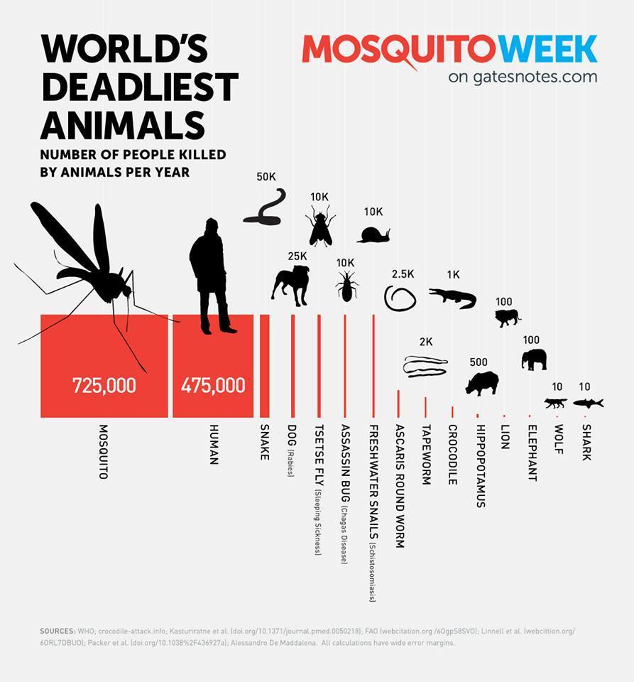 http://www.gatesnotes.com/Health/Most-Lethal-Animal-Mosquito-Week?WT.mc_id=MosquitoWeek2014_MostLethalAnimal_fb&WT.tsrc=Facebook