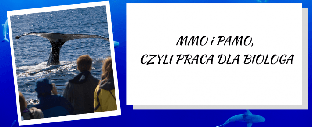 mmo i pamo