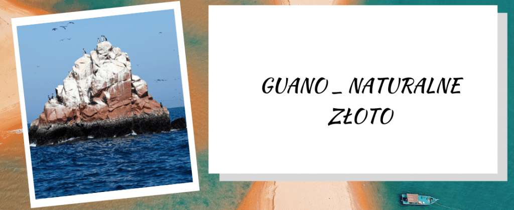 Guano - naturalne złoto