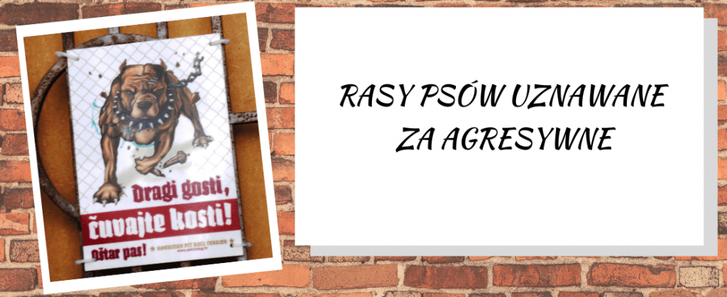 rasy psów uznawane za agresywne