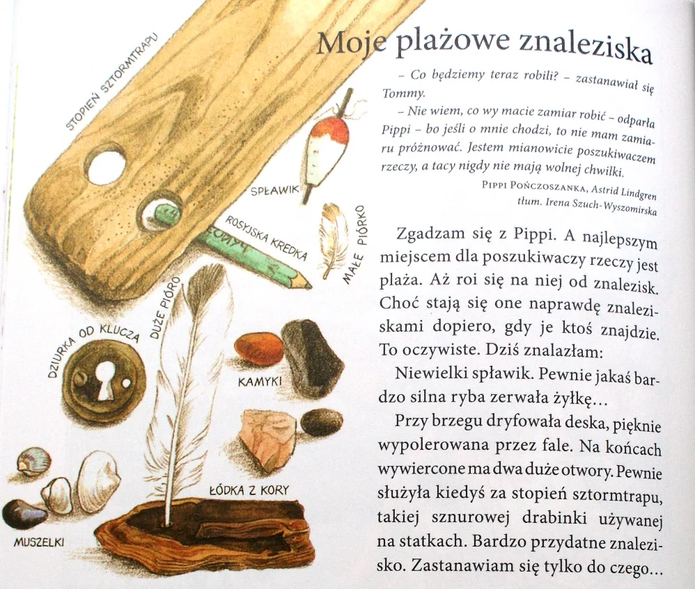rok z linneą