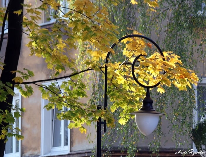Przyrodnicze wyprawy – październik