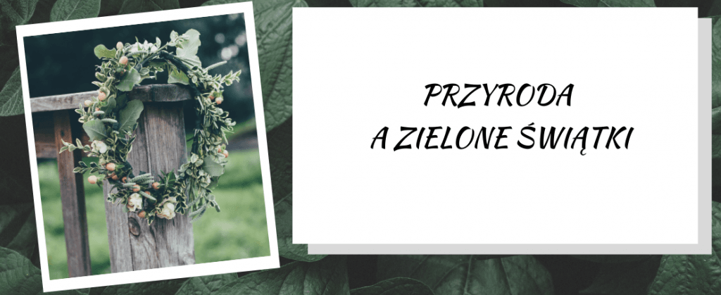 Przyroda a Zielone Świątki