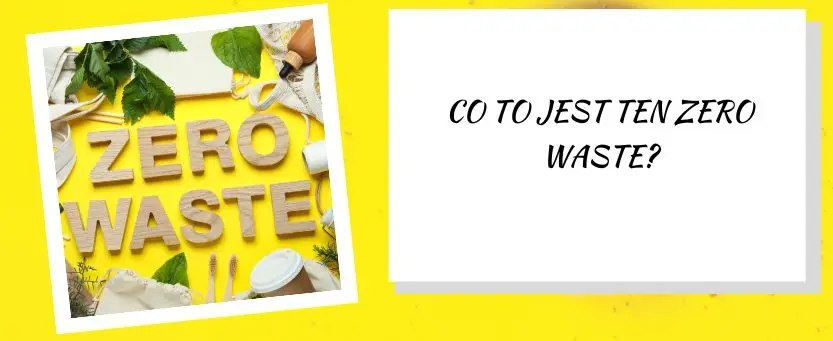 co to jest ten zero waste?