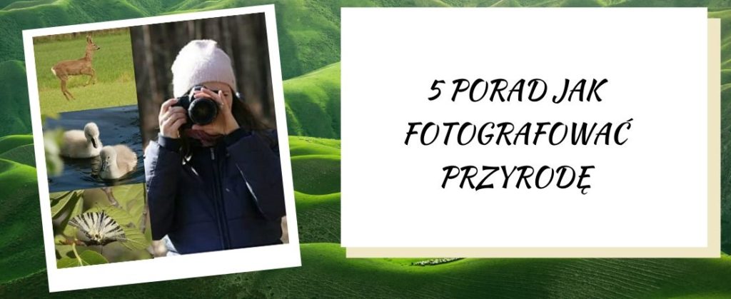 jak fotografować przyrodę