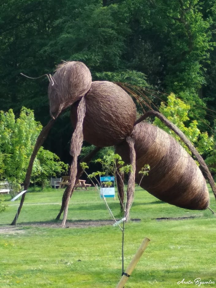 sielankowa anglia - bettys the bee