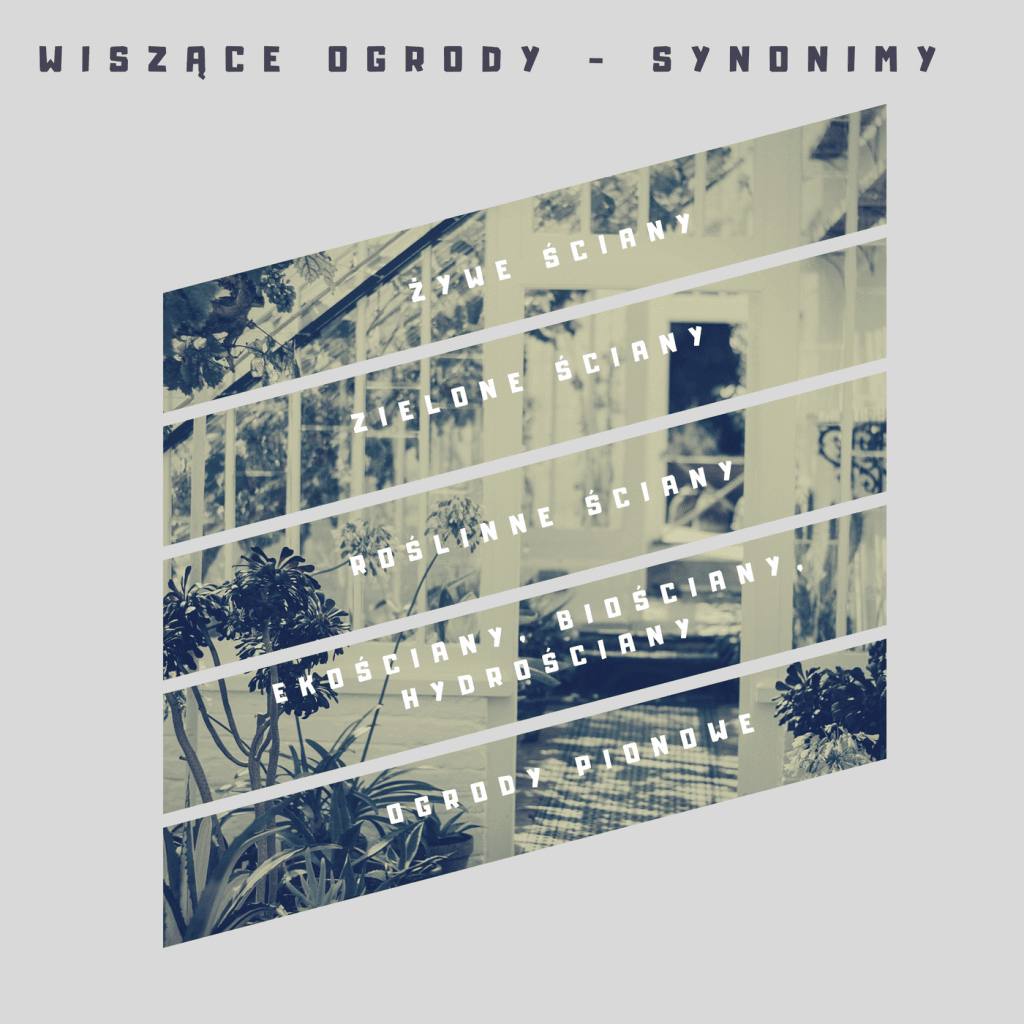 Wiszące ogrody - synonimy