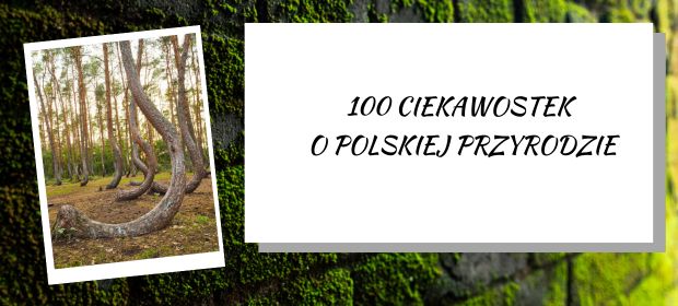 100 faktów o polskiej przyrodzie, które mogą Cię zaskoczyć