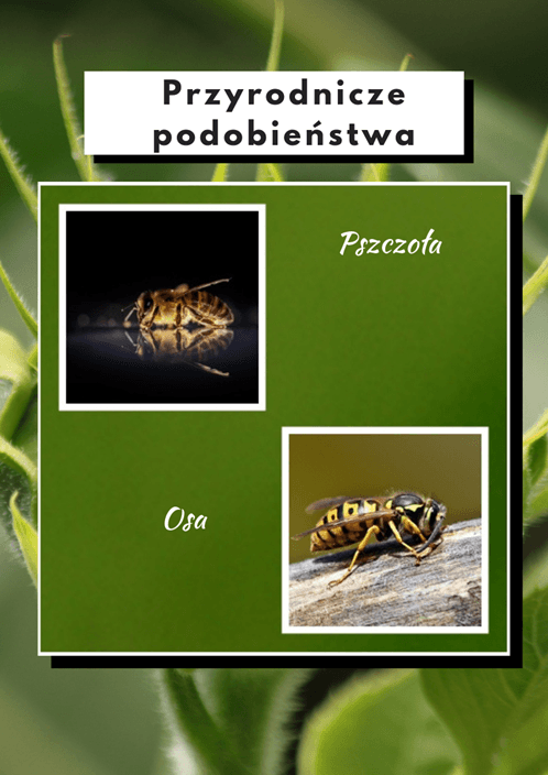 Przyrodnicze podobieństwa