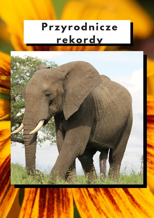 Przyrodnicze rekordy