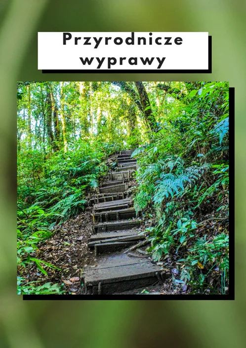 Przyrodnicze wyprawy