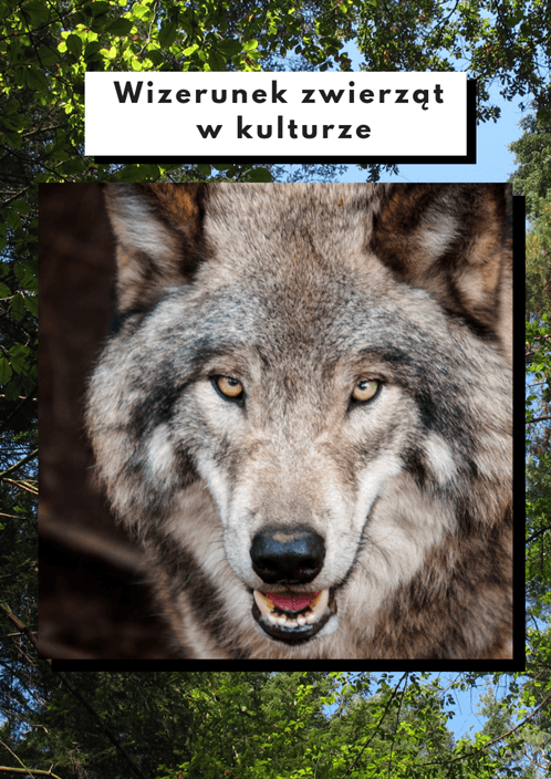 Wizerunek zwierząt w kulturze człowieka