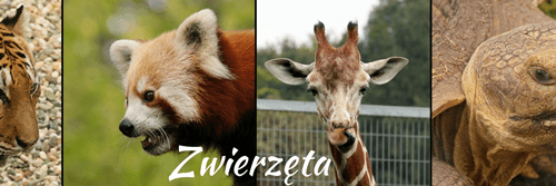 Zwierzęta