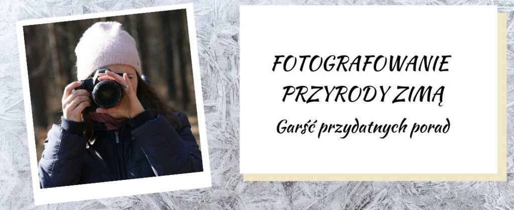 fotografowanie przyrody zimą porady