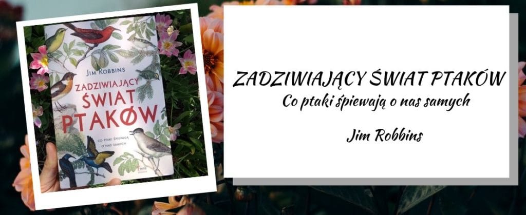 zadziwiający świat ptaków