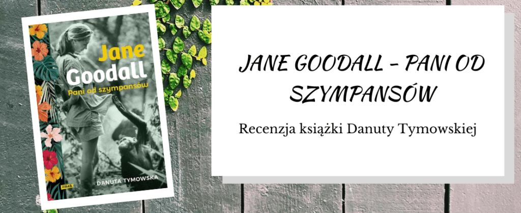 jane goodall pani od szympansów