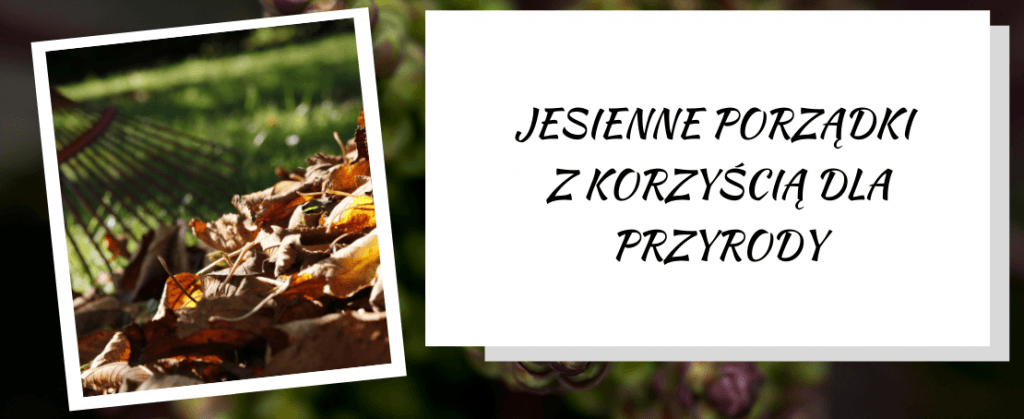 jesienne porządki