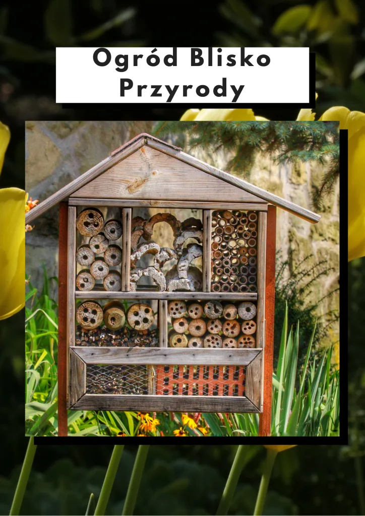 Ogr&oacute;d blisko przyrody