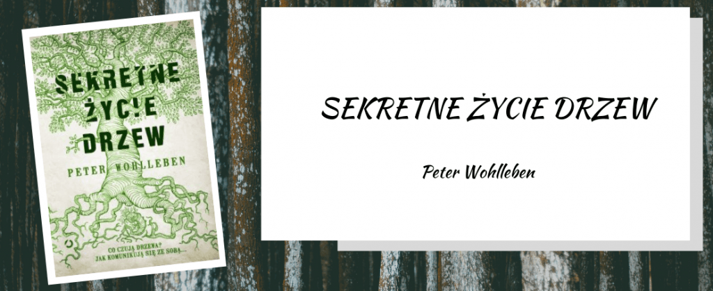 Sekretne życie drzew