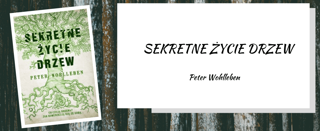Sekretne życie drzew