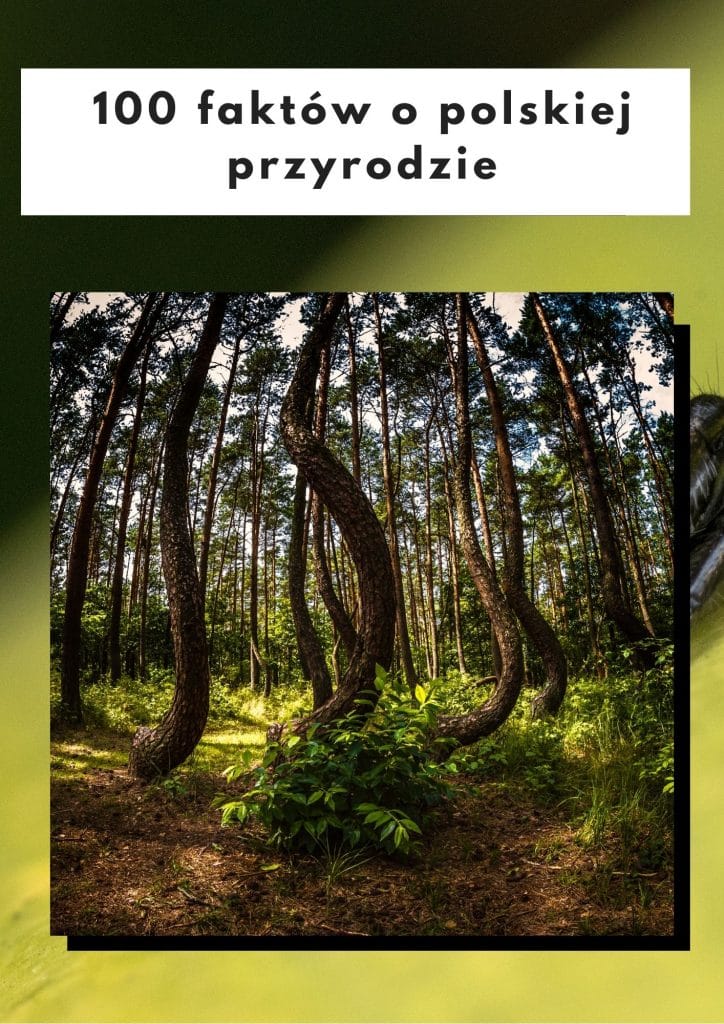 100 faktów o polskiej przyrodzie