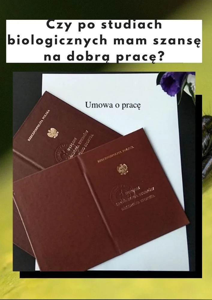 Czy po studiach biologicznych mam szansę na dobrą prace?