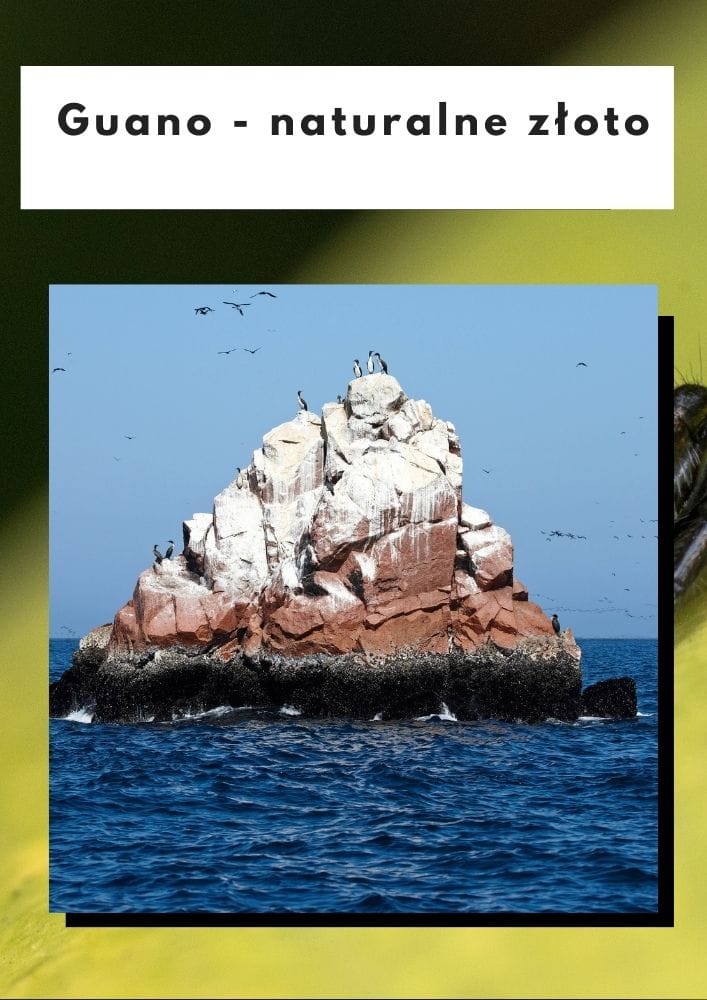 Guano