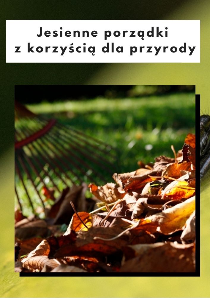 Jesienne porządki z korzyścią dla przyrody