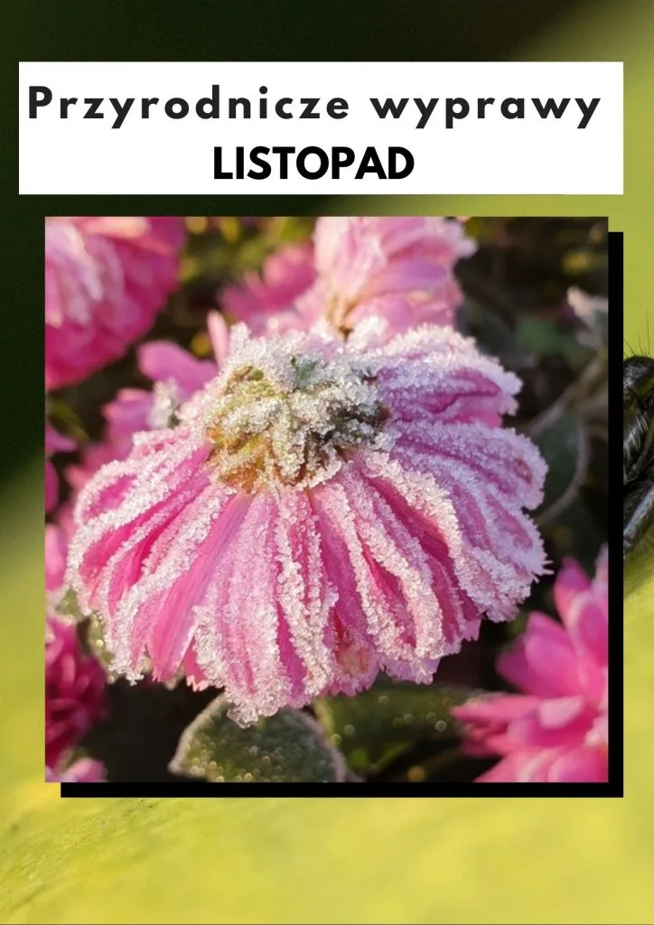 Przyrodnicze wyprawy - listopad