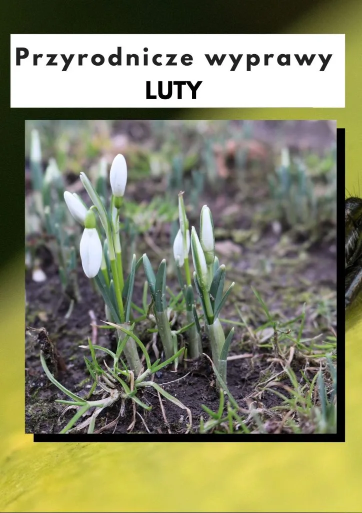 Przyrodnicze wyprawy -luty