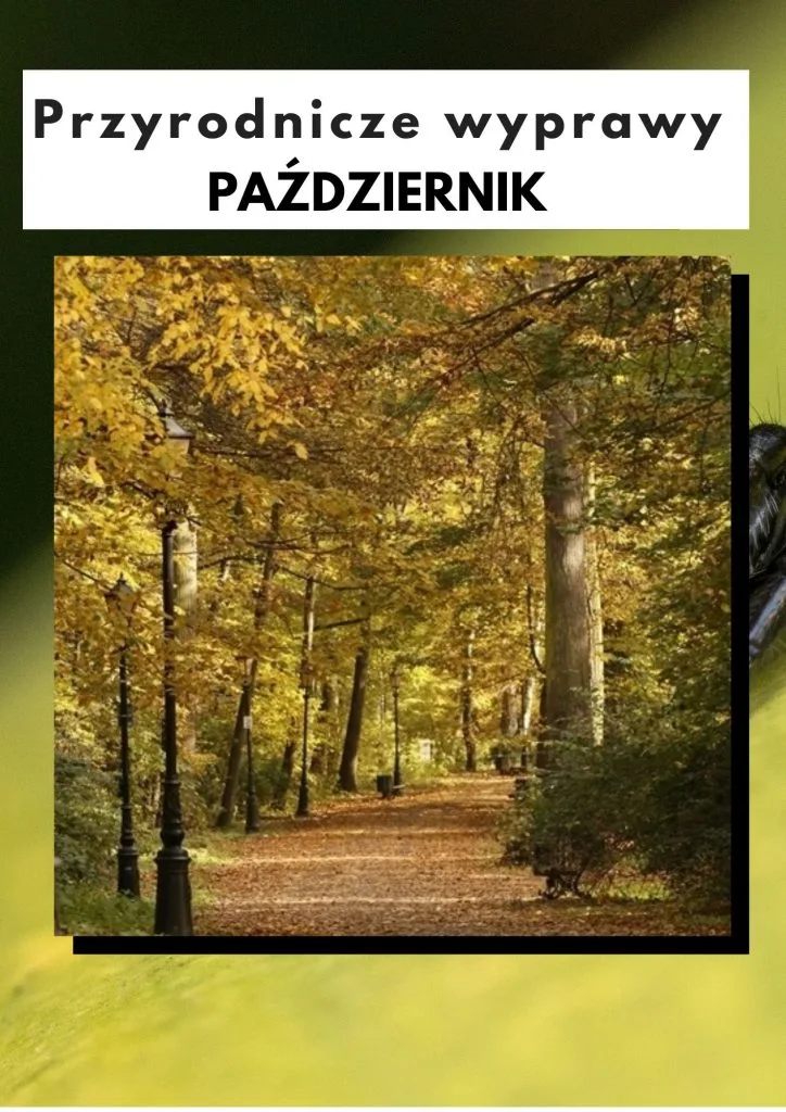 Przyrodnicze wyprawy - październik