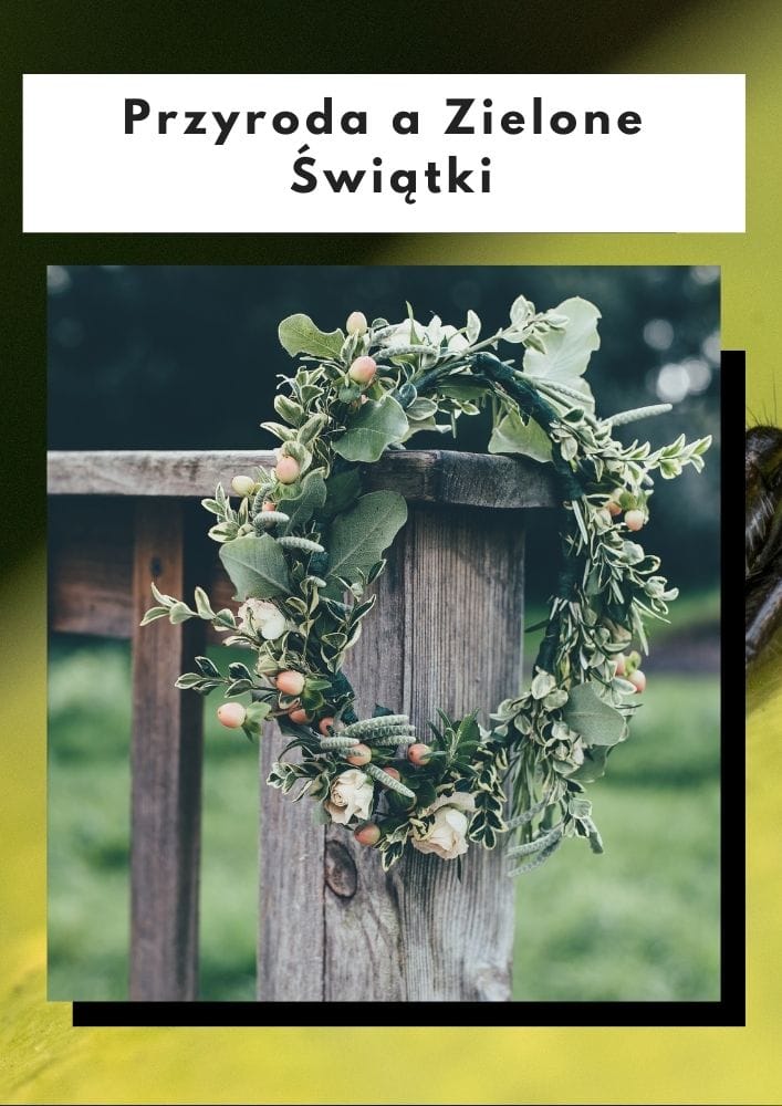 Przyroda a Zielone Świątki