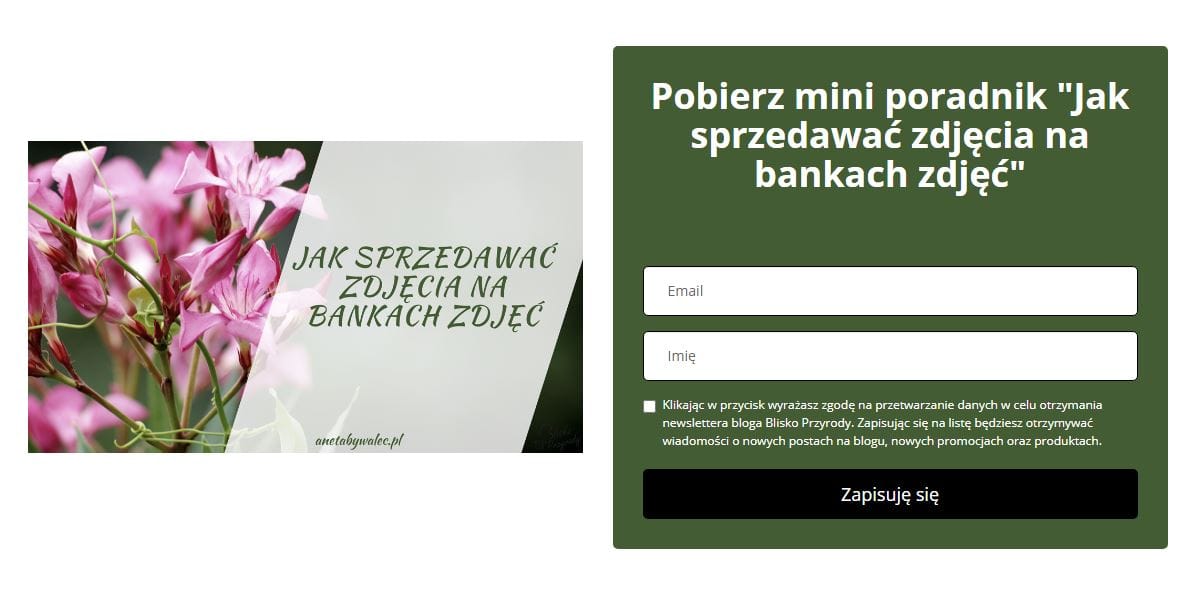 mini poradnik - dodatkowy zarobek