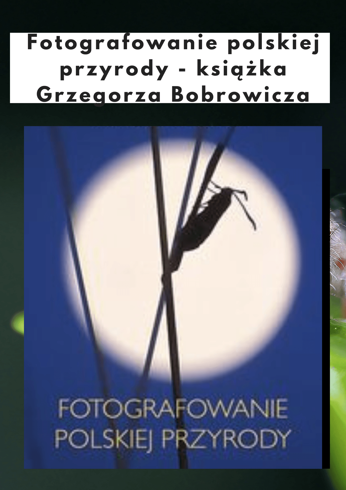 Fotografowanie polskiej przyrody – Grzegorz Bobrowicz