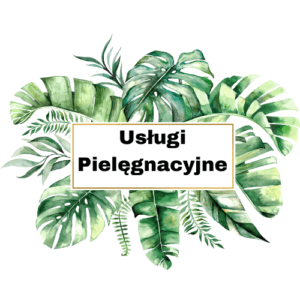 Usługi Pielęgnacji Zieleni