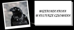 kruk w kulturze