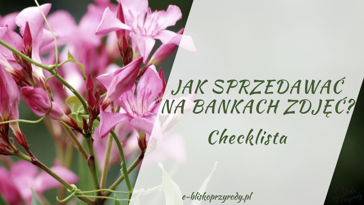 jak sprzedawać na bankach zdjęć