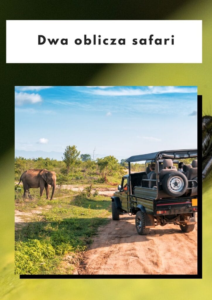 dwa oblicza safari