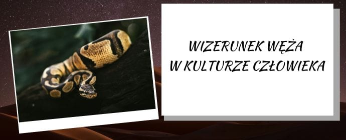 Wizerunek węża w kulturze człowieka