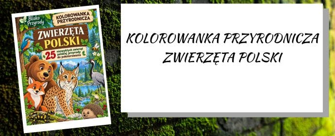Ryś, zimorodek, salamandra — trzy polskie zwierzęta, których Twoje dziecko nigdy nie widziało