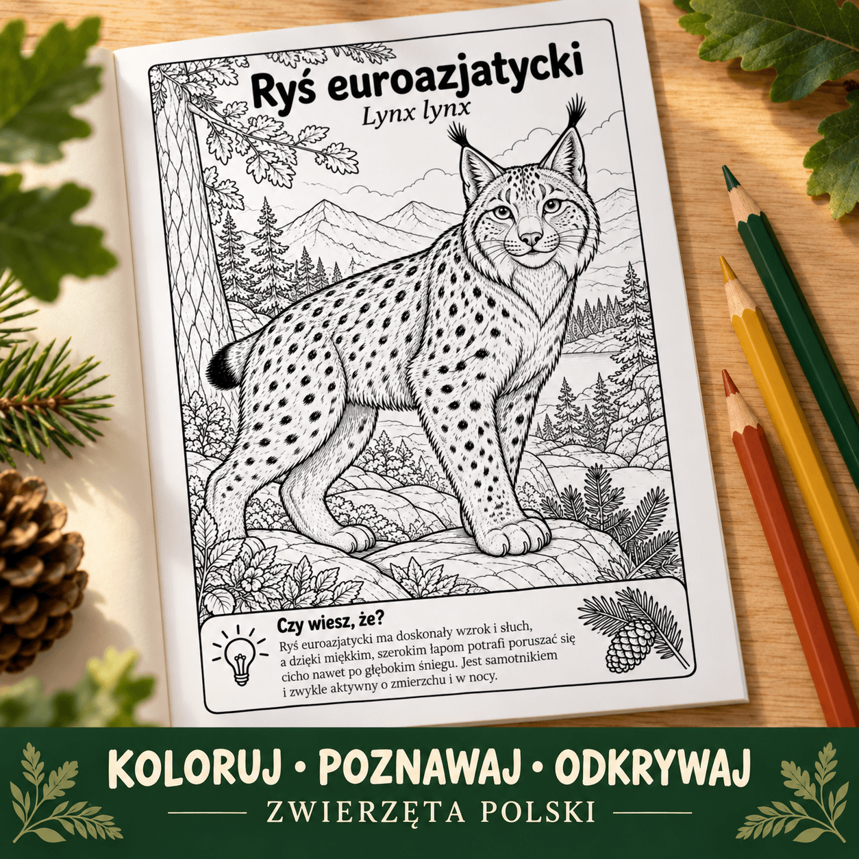 Strona kolorowanki z rysiem euroazjatyckim